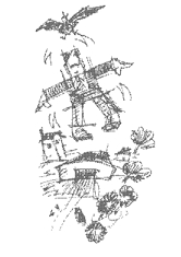 Man flying; birds
alarmed