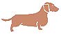 dachshund